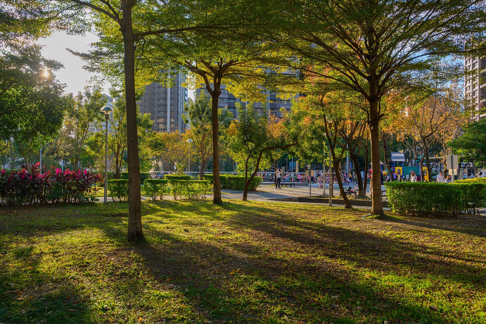 塭仔底濕地公園